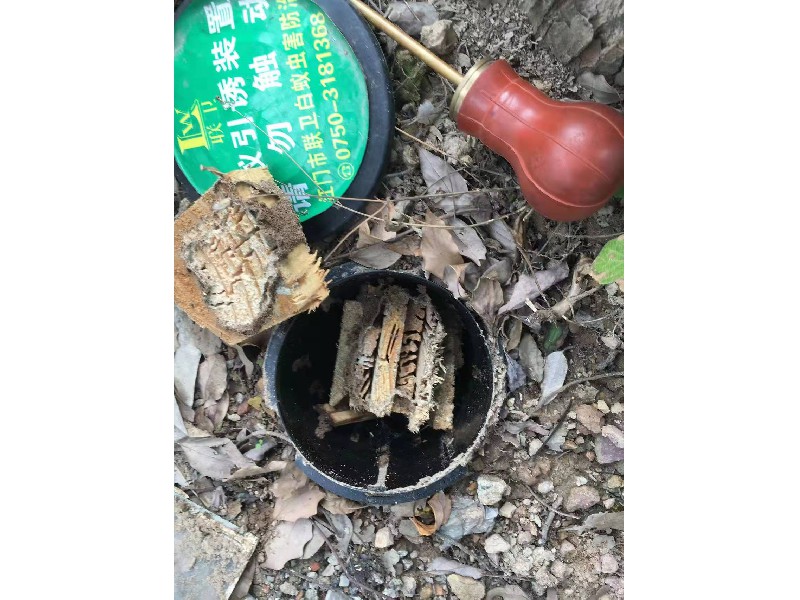 白蟻防治工程